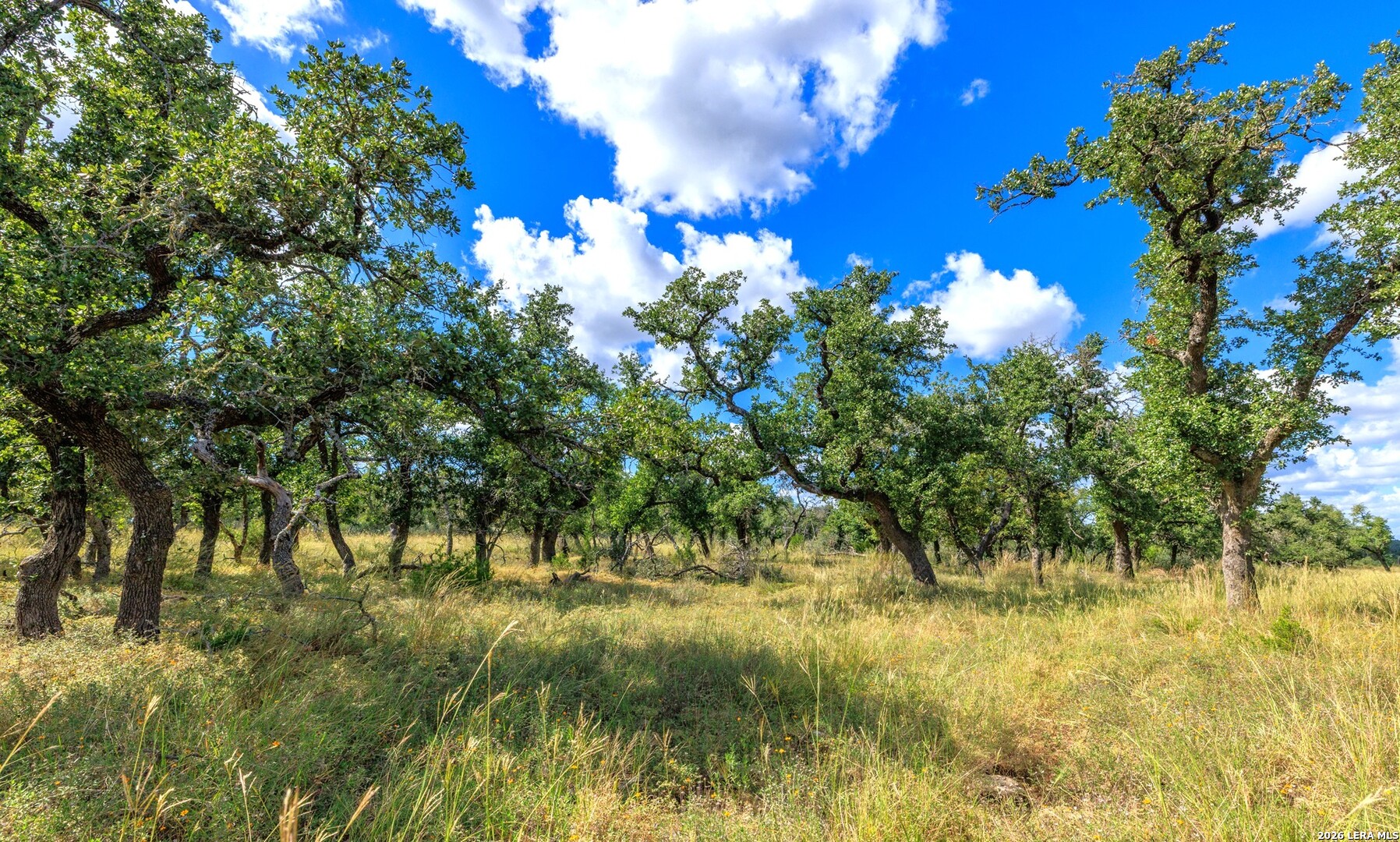 2656 Meier Road Fredericksburg TX 78624