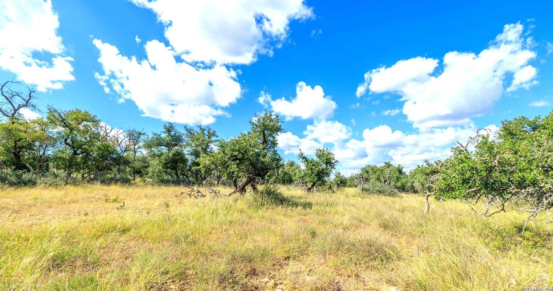 2656 Meier Road Fredericksburg TX 78624