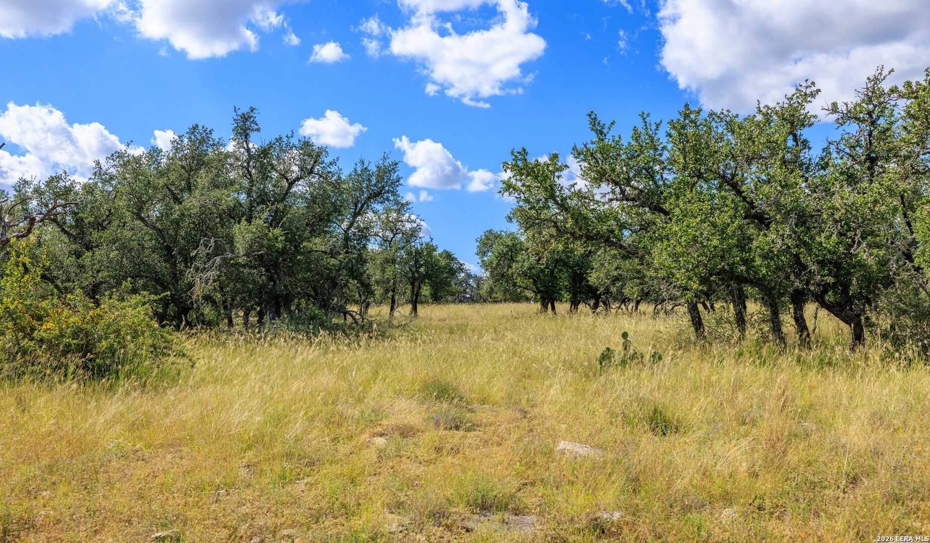 2656 Meier Road Fredericksburg TX 78624