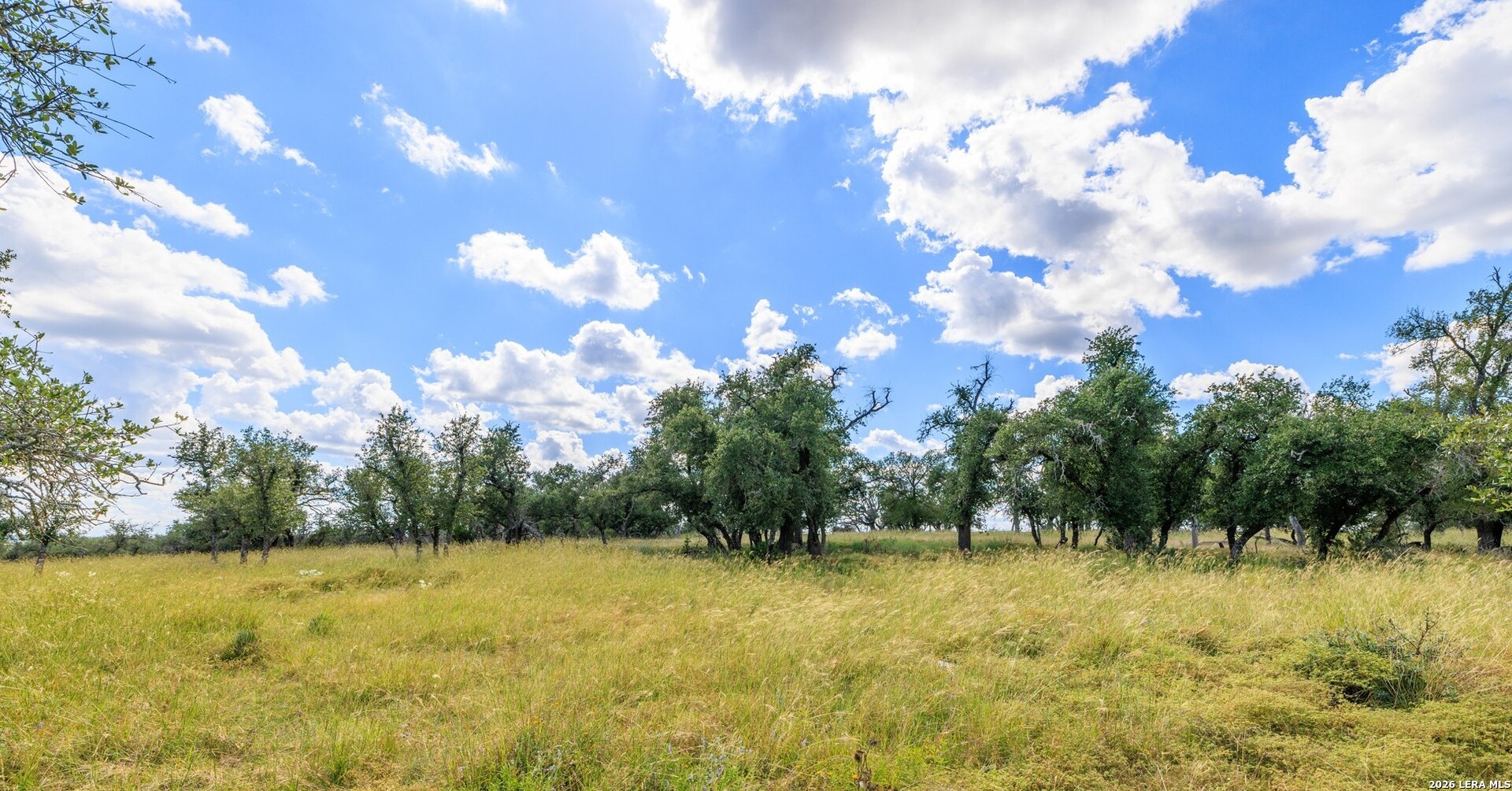 2656 Meier Road Fredericksburg TX 78624