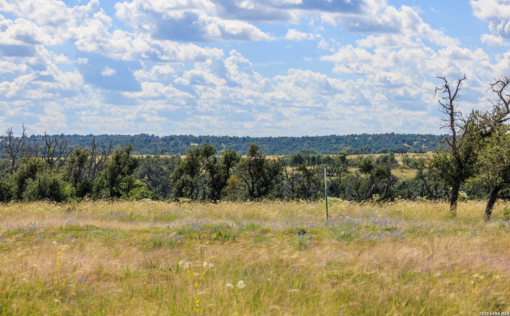 2656 Meier Road Fredericksburg TX 78624