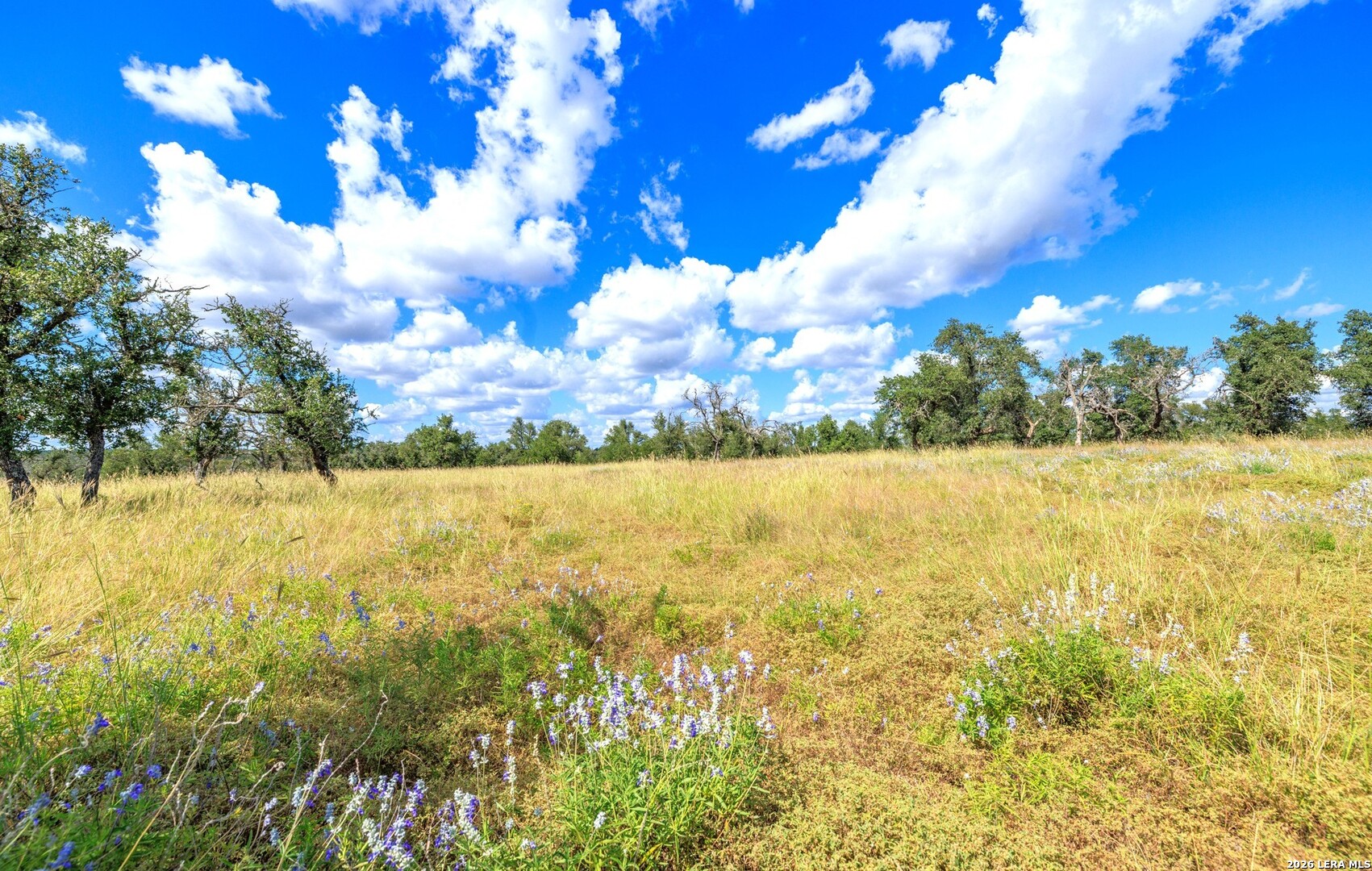 2656 Meier Road Fredericksburg TX 78624