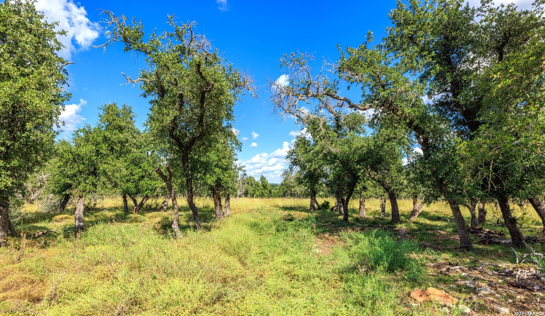2656 Meier Road Fredericksburg TX 78624