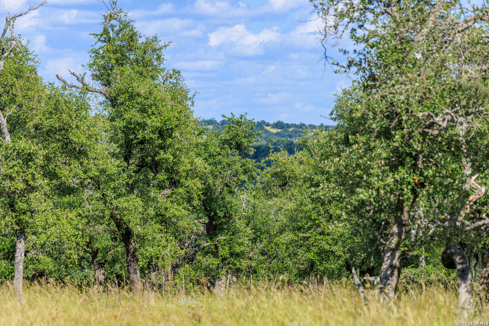 2656 Meier Road Fredericksburg TX 78624