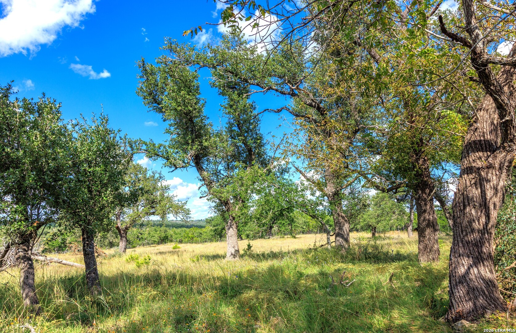 2656 Meier Road Fredericksburg TX 78624