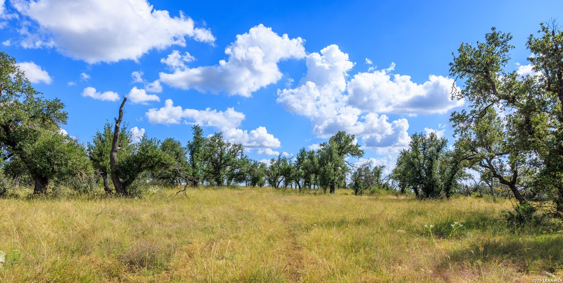 2656 Meier Road Fredericksburg TX 78624