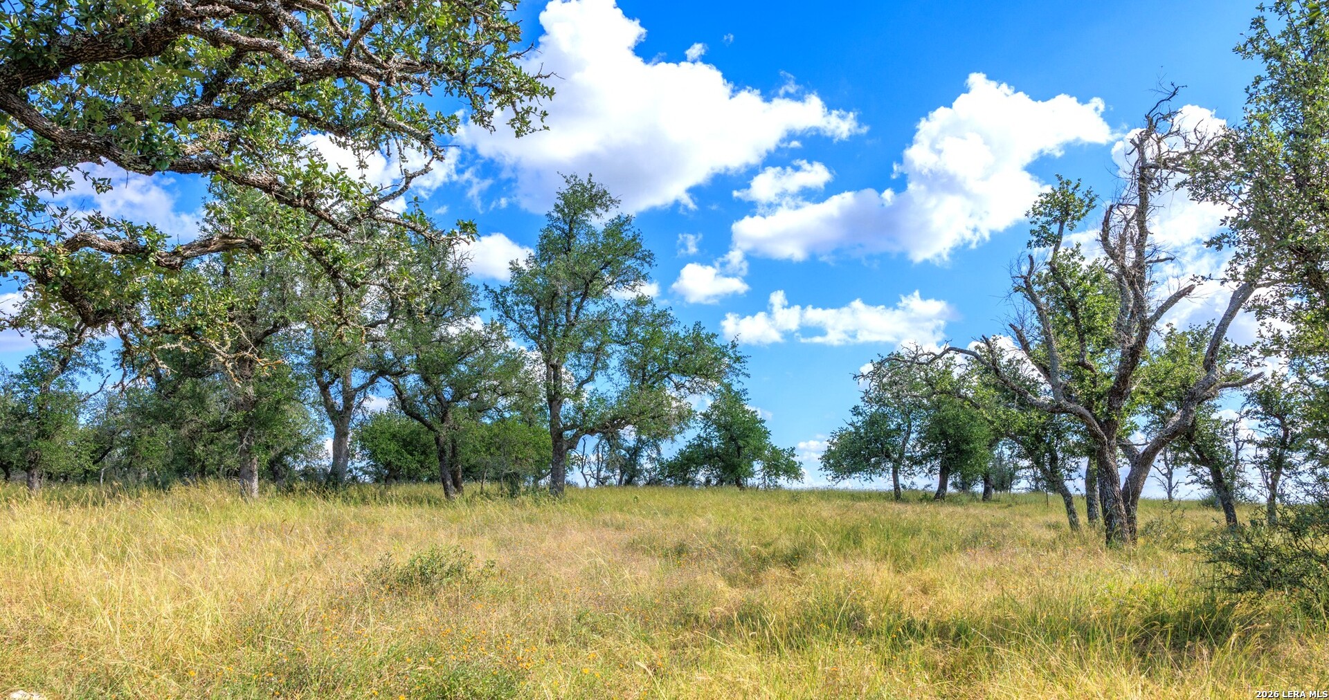 2656 Meier Road Fredericksburg TX 78624