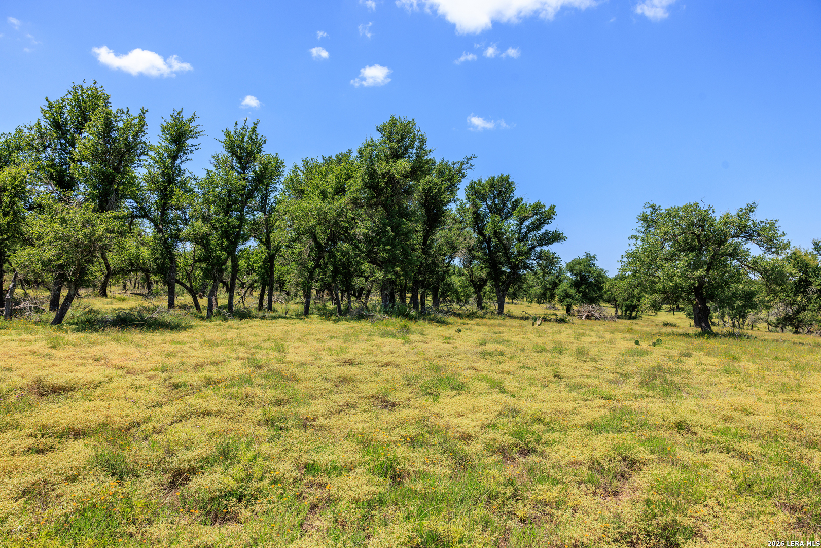2656 Meier Road Fredericksburg TX 78624