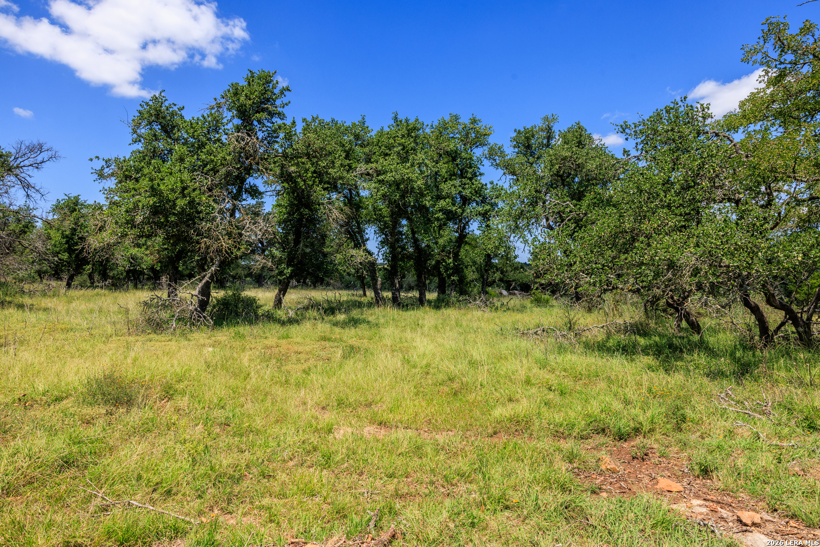 2656 Meier Road Fredericksburg TX 78624