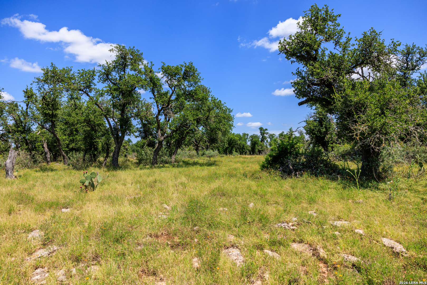 2656 Meier Road Fredericksburg TX 78624