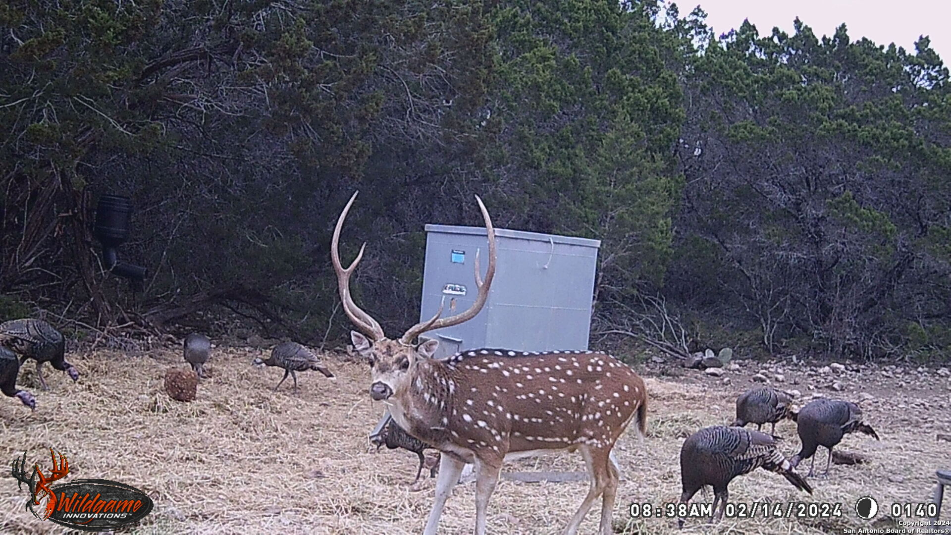 Tbd Rm 334 Brackettville TX 78832