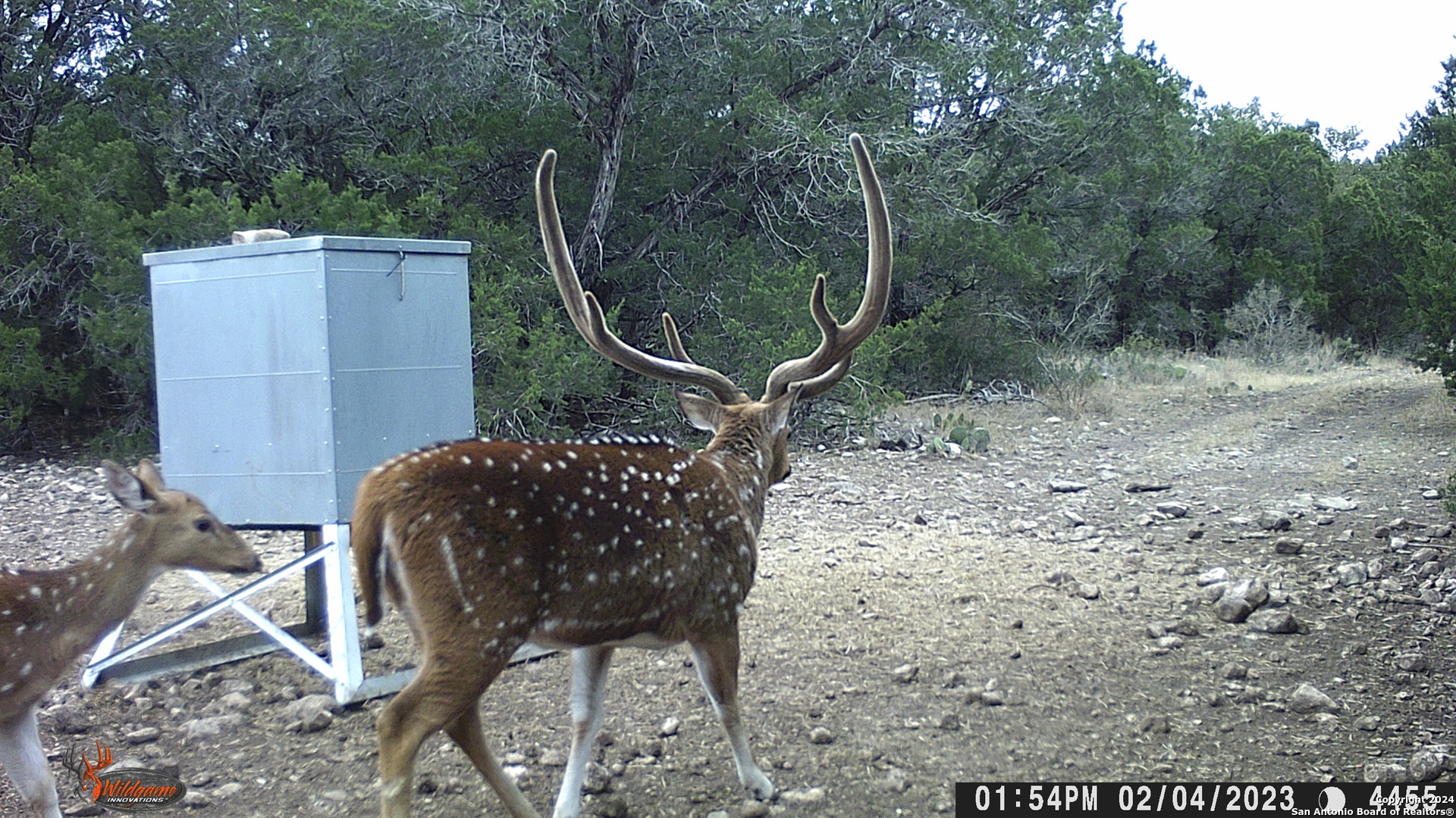 Tbd Rm 334 Brackettville TX 78832