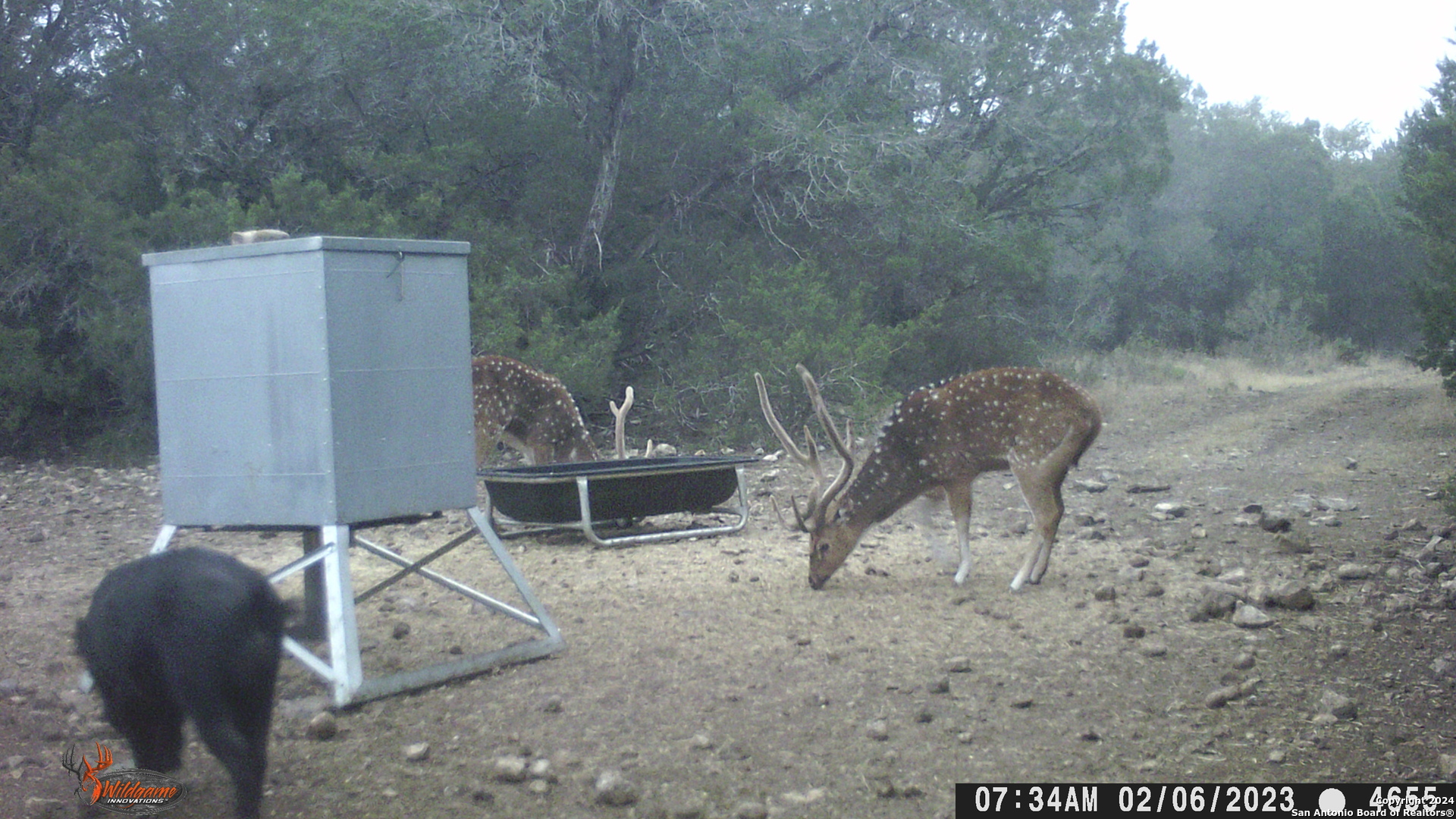 Tbd Rm 334 Brackettville TX 78832
