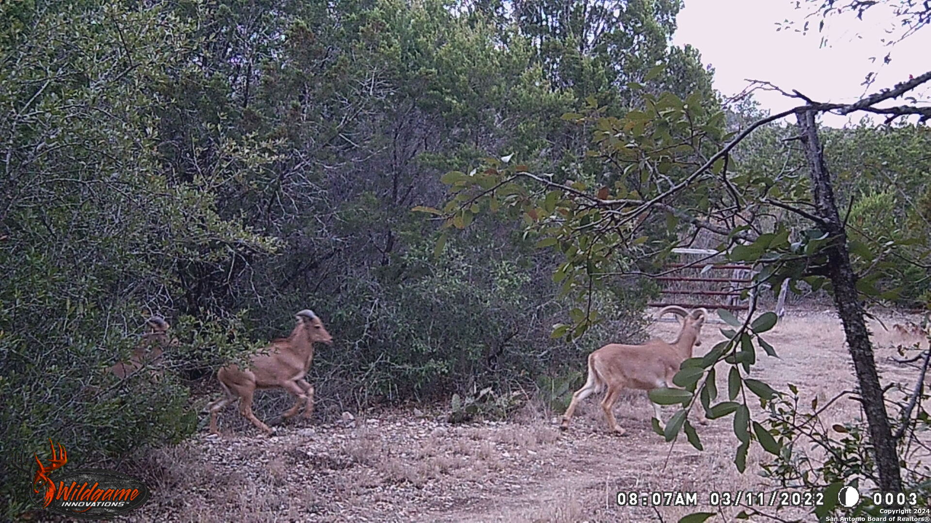 Tbd Rm 334 Brackettville TX 78832