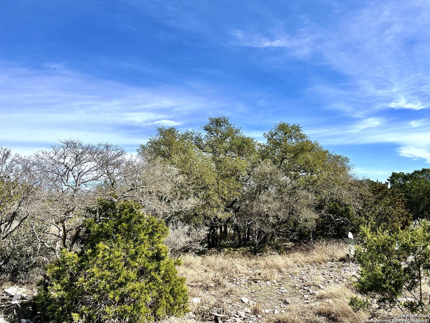 0 Sd63538 Rocksprings TX 78880