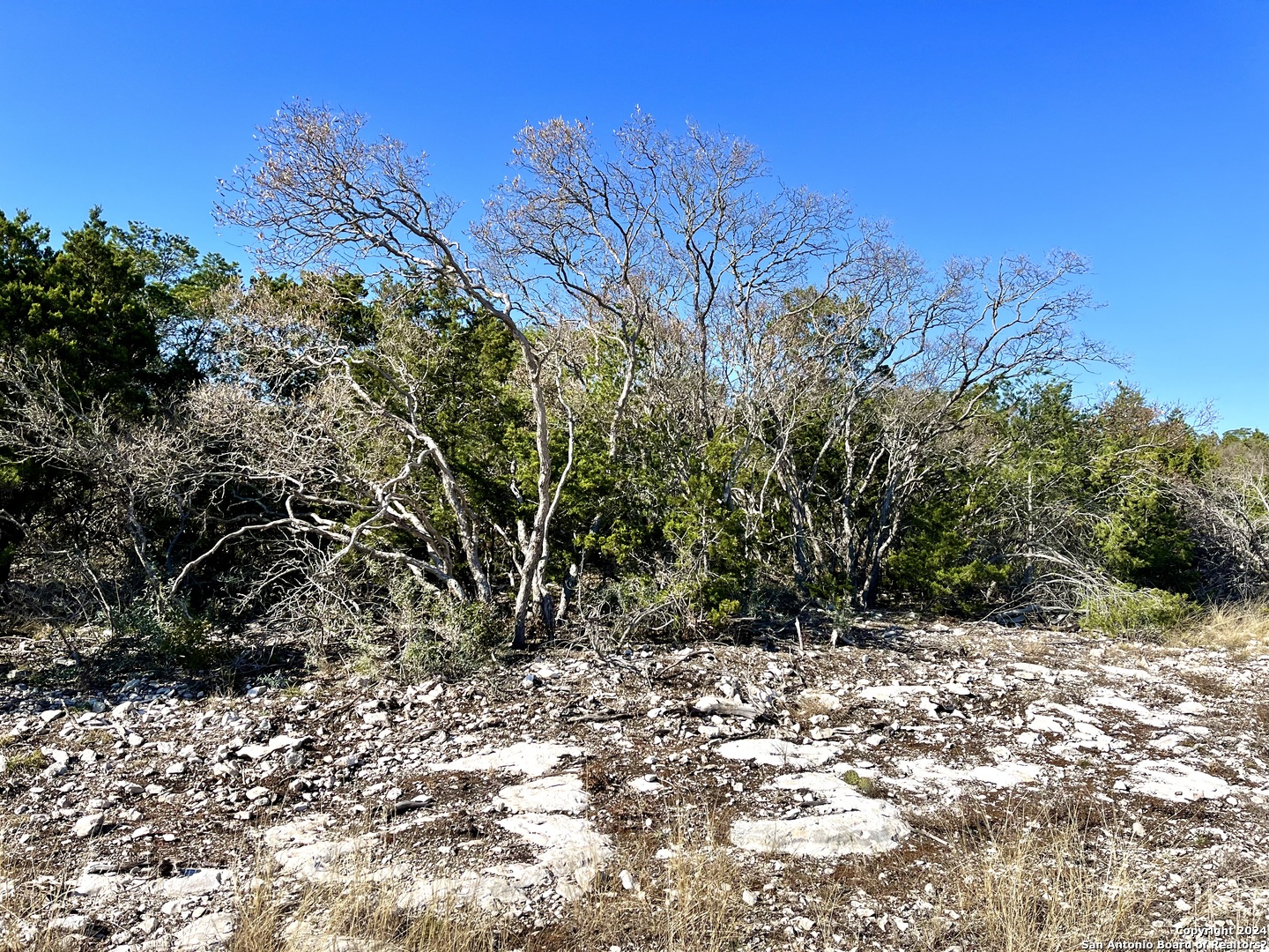 0 Sd63538 Rocksprings TX 78880