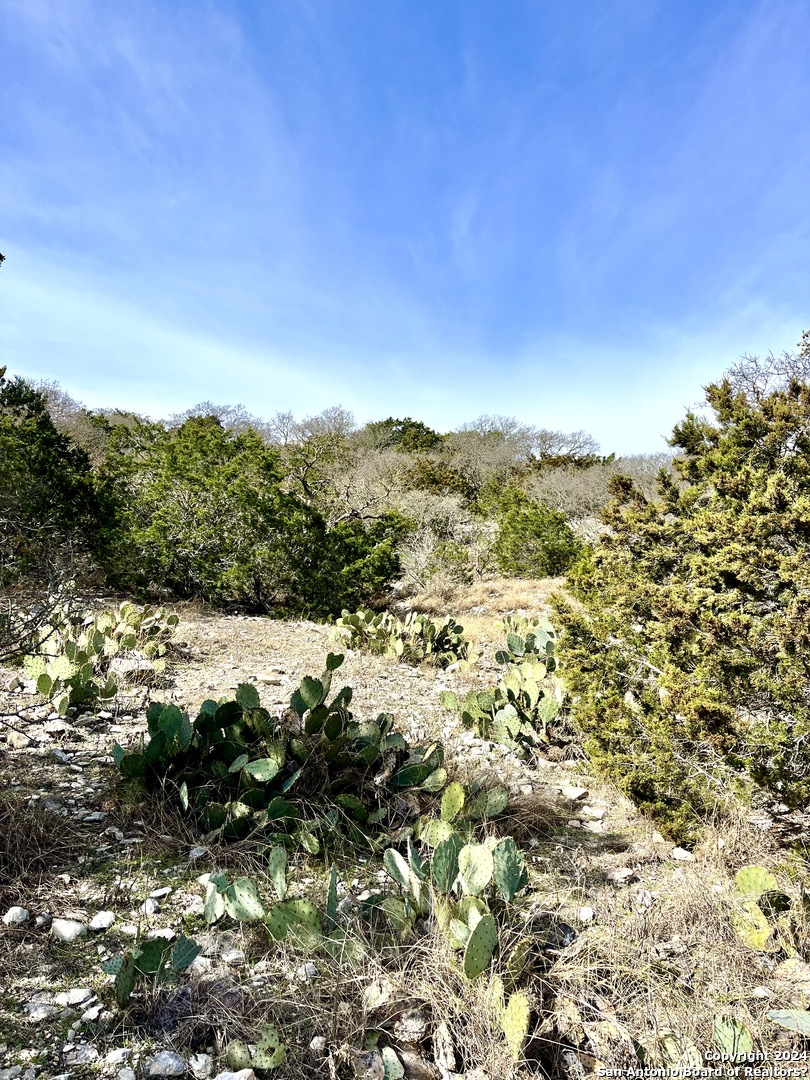 0 Sd63538 Rocksprings TX 78880