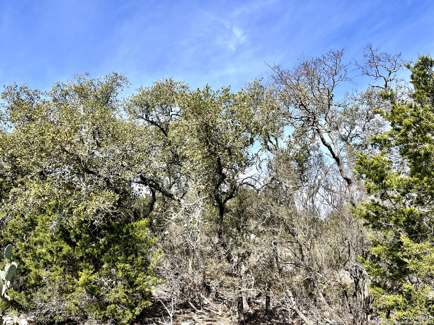 0 Sd63538 Rocksprings TX 78880