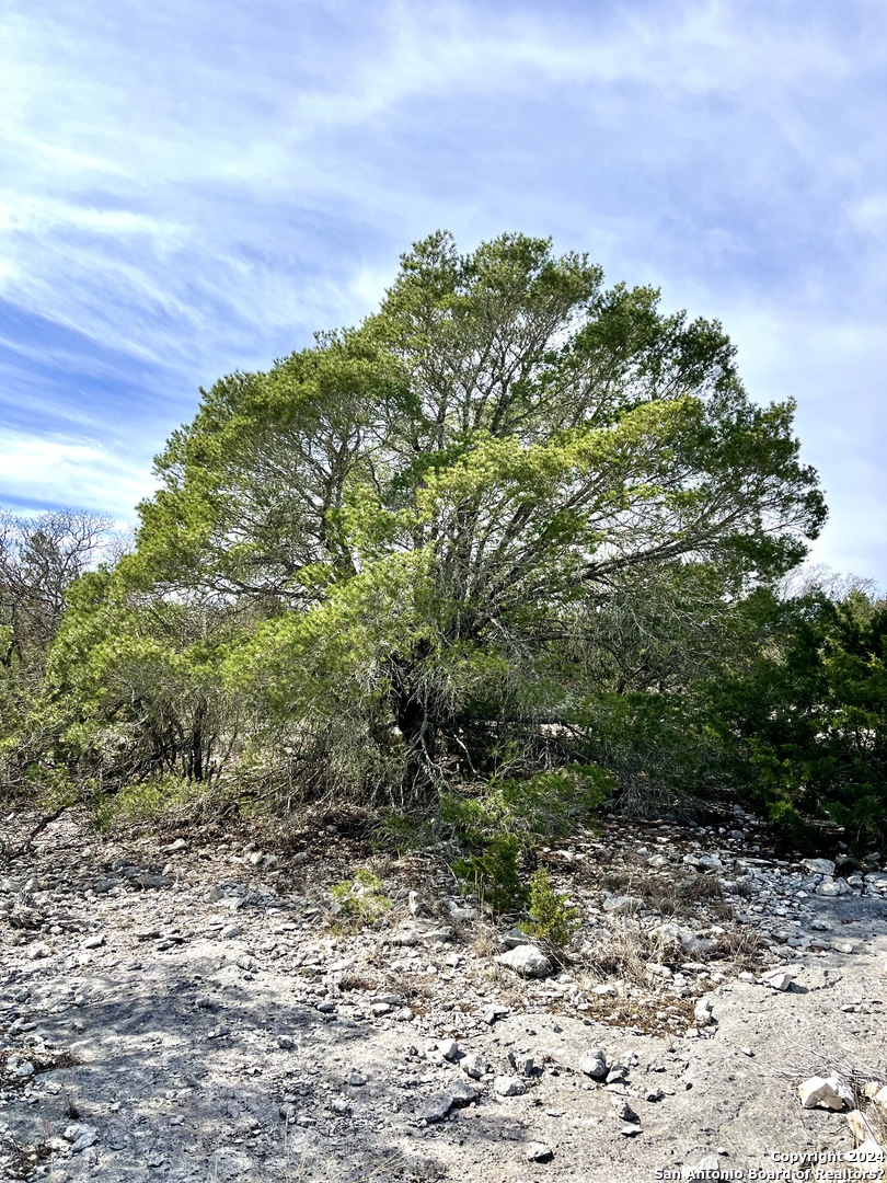 0 Sd63538 Rocksprings TX 78880