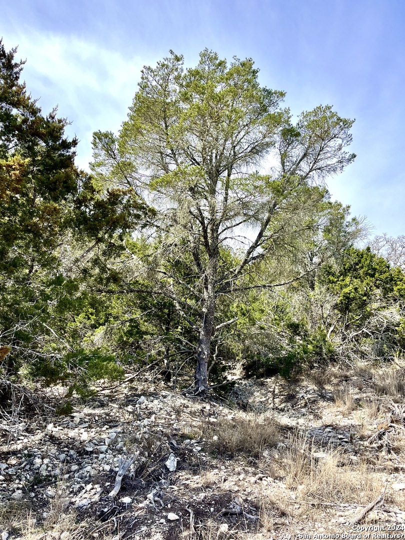 0 Sd63538 Rocksprings TX 78880