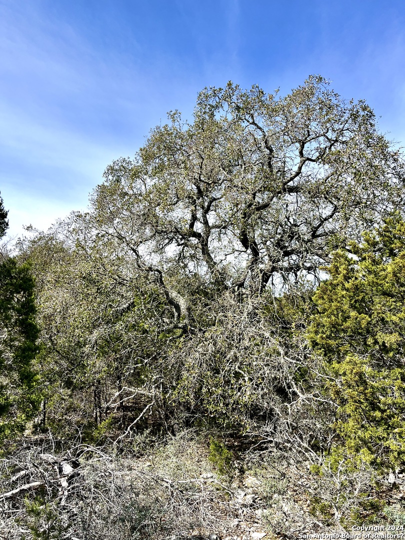 0 Sd63538 Rocksprings TX 78880