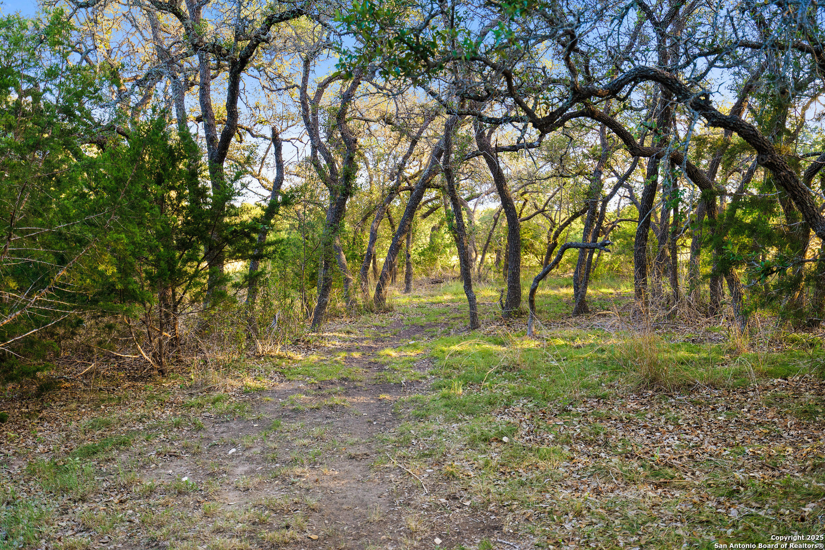 370 Gray Wolf Blanco TX 78606