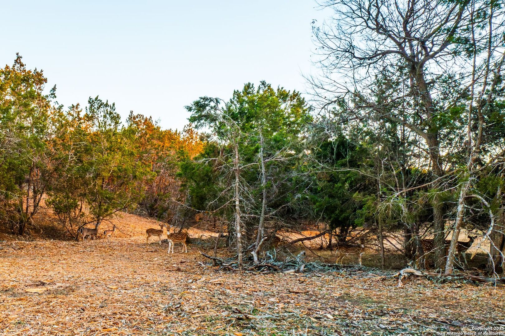 327 Waring Welfare Road Boerne TX 78006