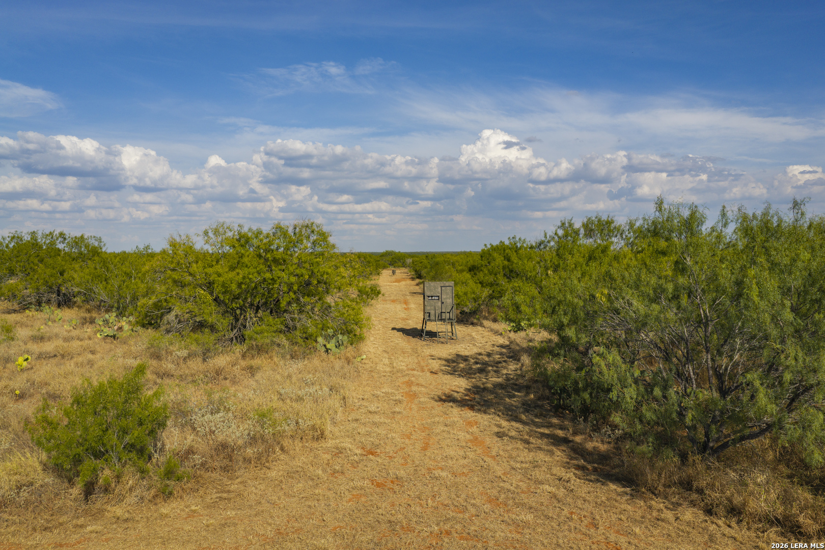 000 County Road 4728 Dilley TX 78017