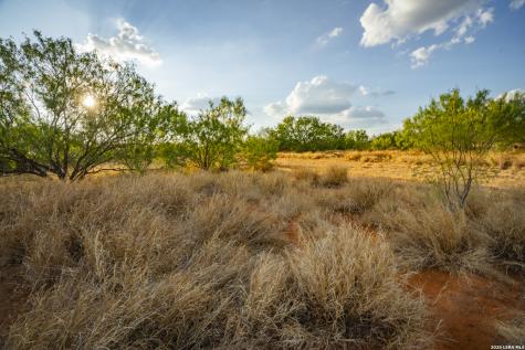 000 County Road 4728 Dilley TX 78017
