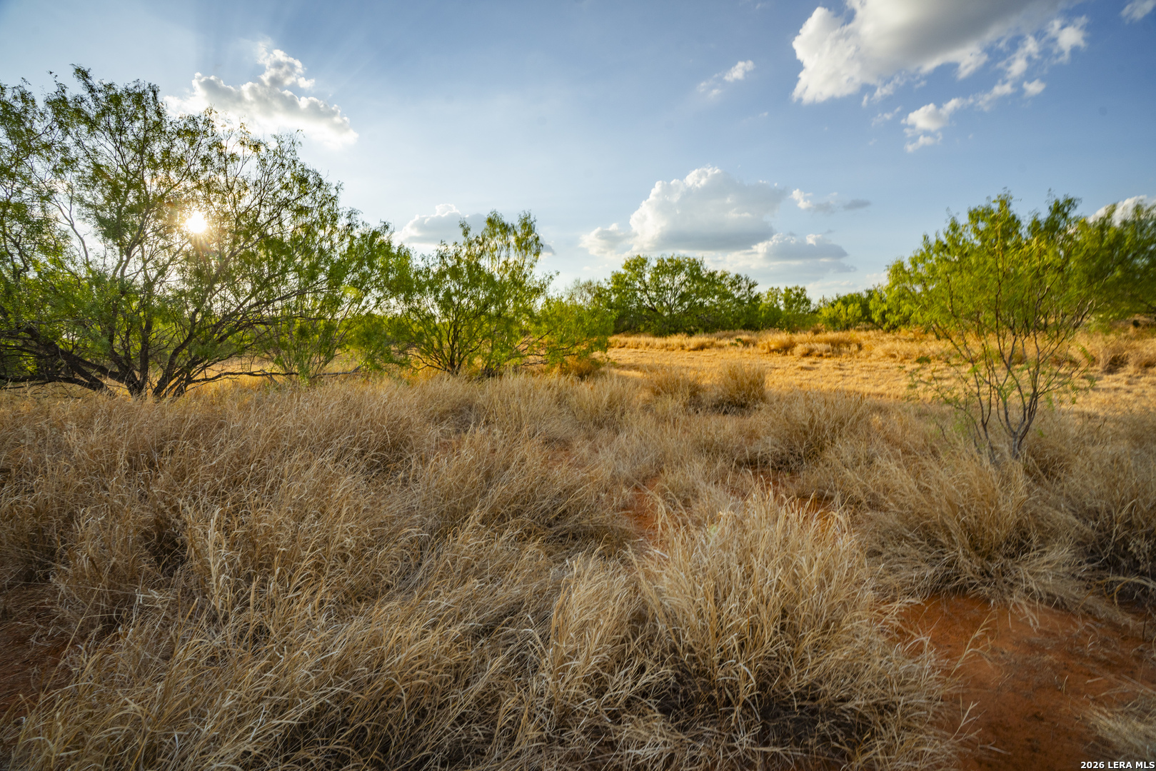 000 County Road 4728 Dilley TX 78017