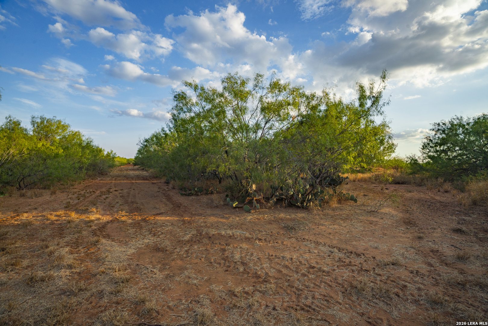 000 County Road 4728 Dilley TX 78017