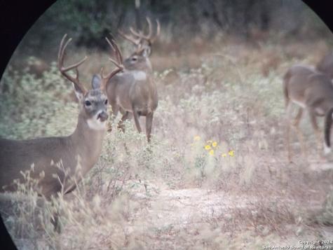 445 Private Road 7822 Natalia TX 78059