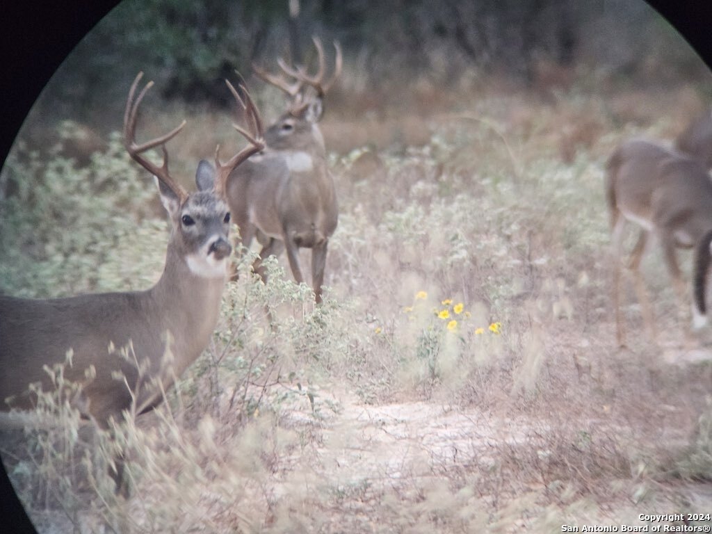 445 Private Road 7822 Natalia TX 78059