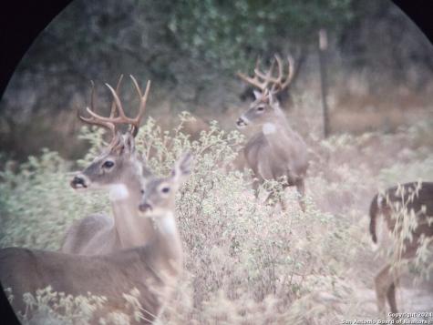 445 Private Road 7822 Natalia TX 78059