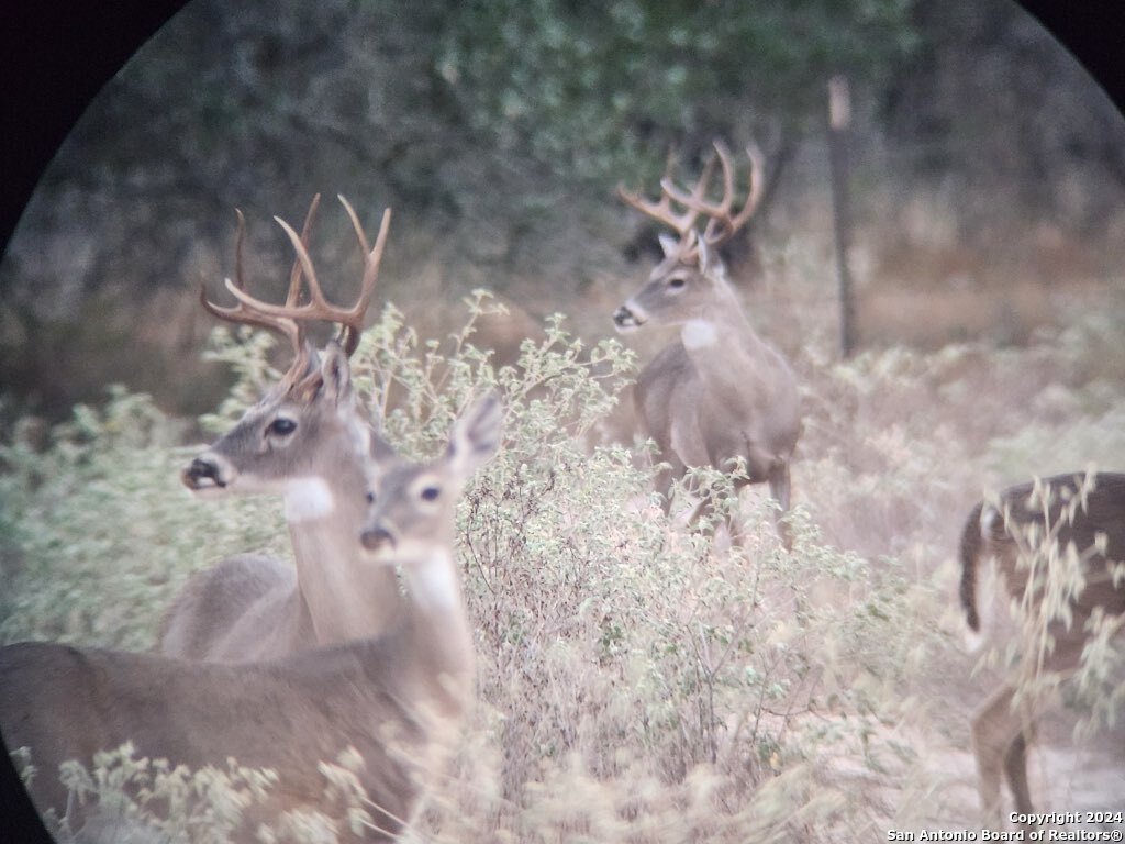 445 Private Road 7822 Natalia TX 78059