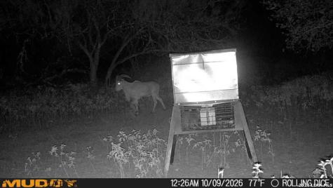 445 Private Road 7822 Natalia TX 78059