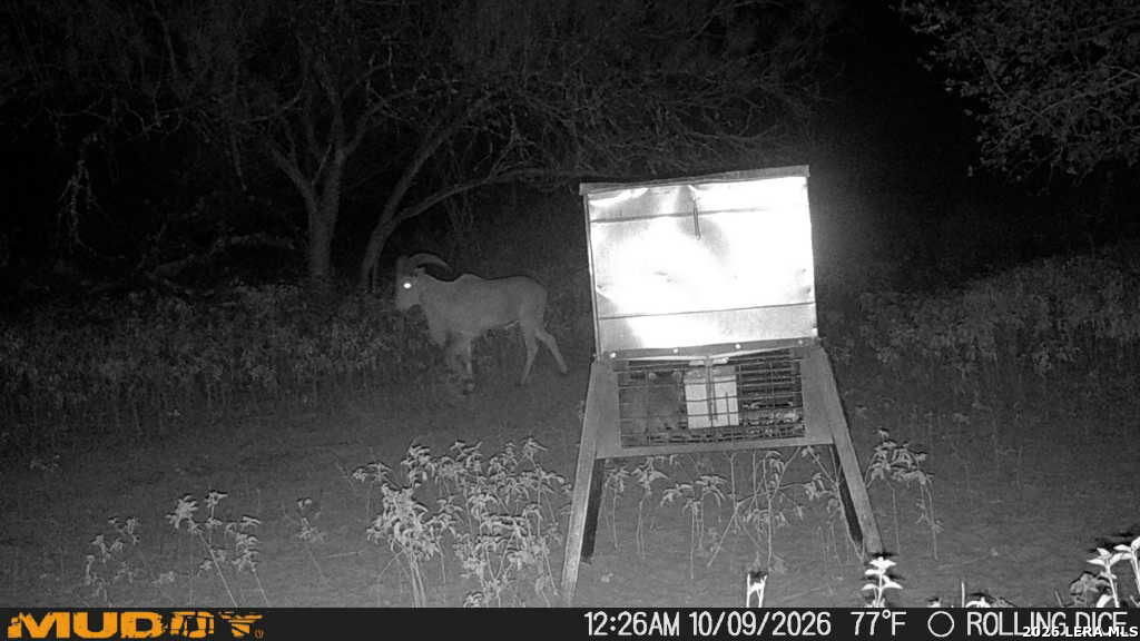445 Private Road 7822 Natalia TX 78059