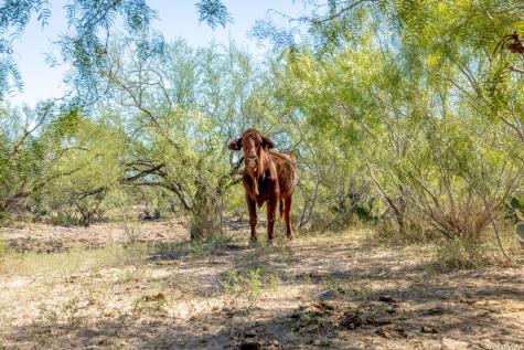 Sh 359 Laredo TX 78043