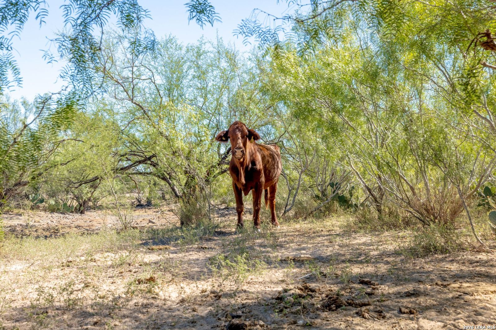 Sh 359 Laredo TX 78043