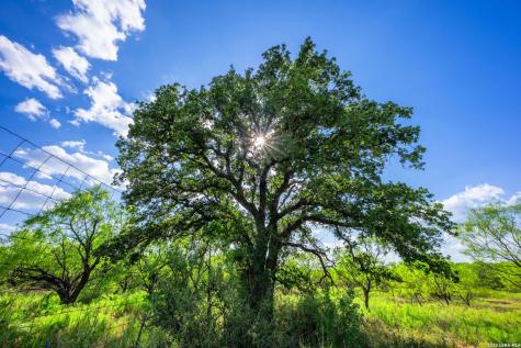 4163 E State Highway 29 Mason TX 76856
