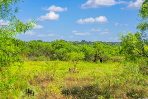 4163 E State Highway 29 Mason TX 76856