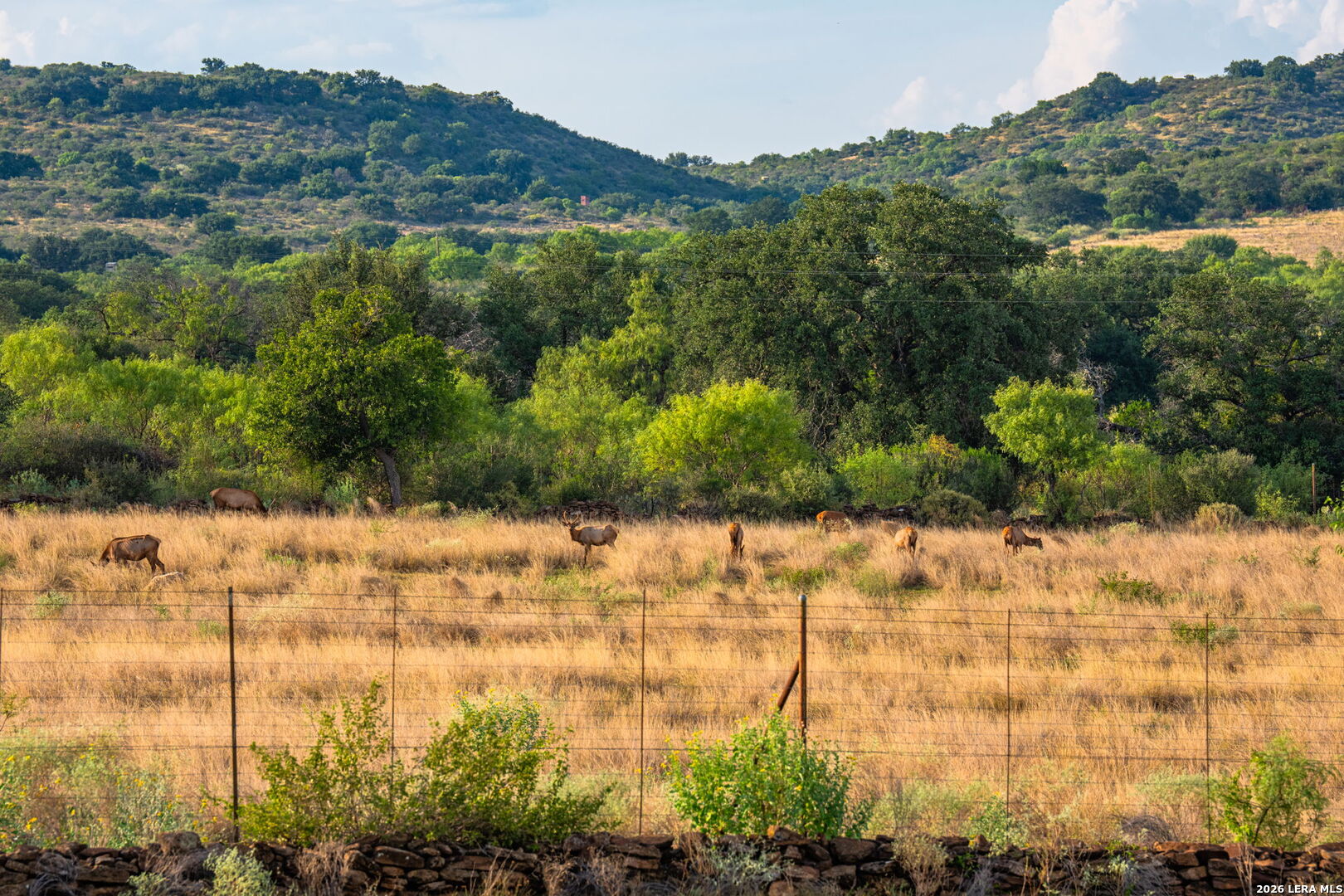 4163 E State Highway 29 Mason TX 76856