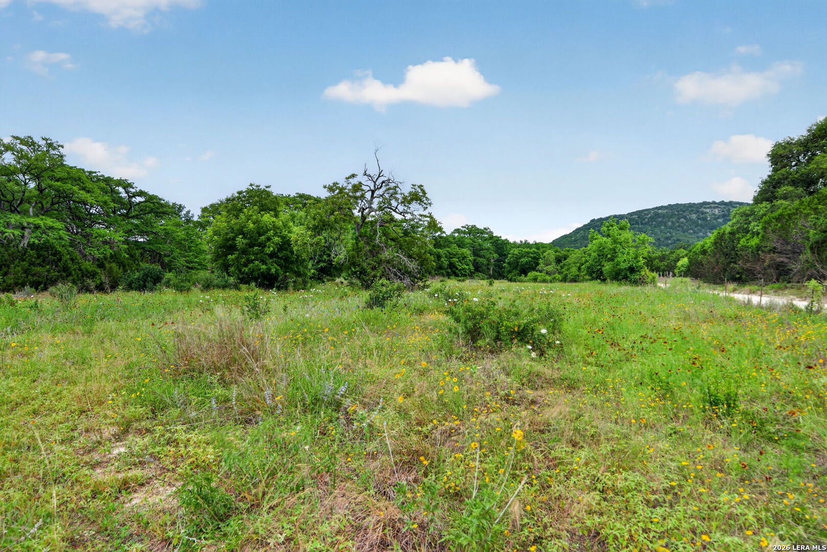 485 Brewington Creek Road Medina TX 78055