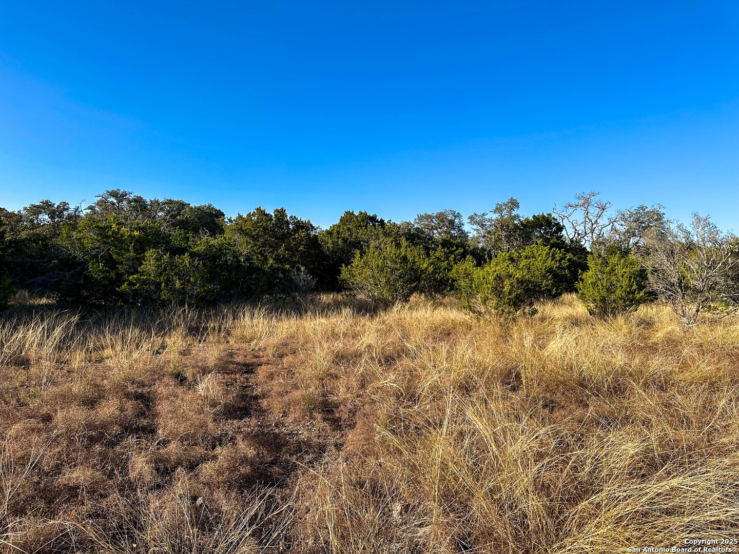 000 Sd 31838 Rocksprings TX 78880
