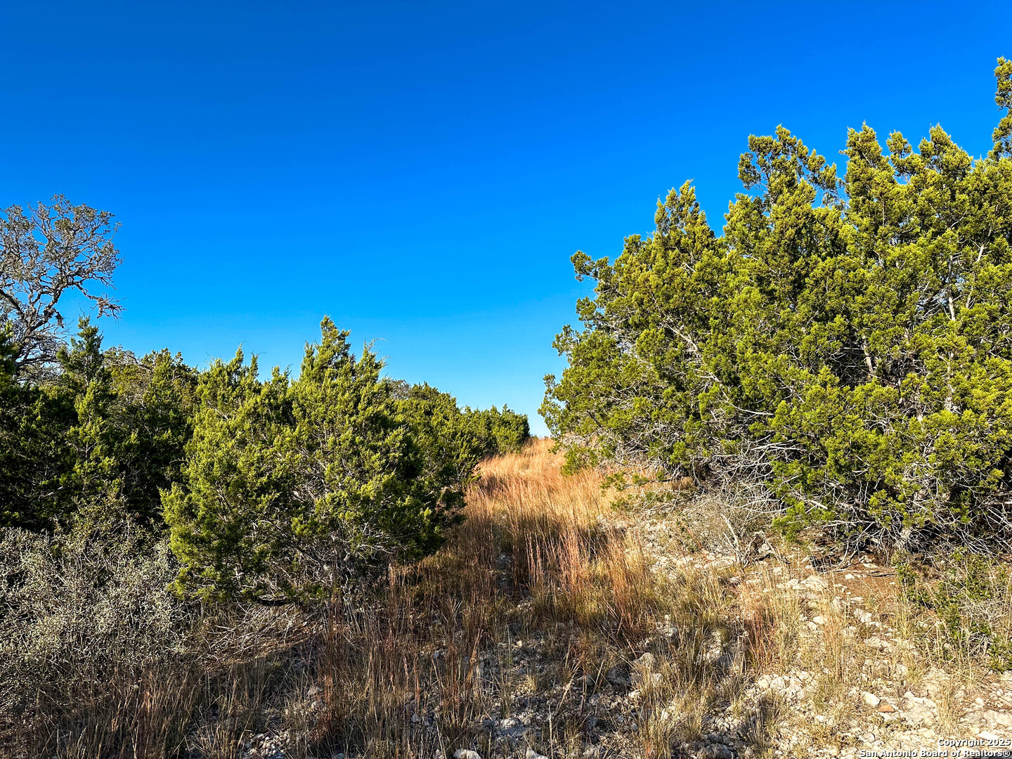 000 Sd 31838 Rocksprings TX 78880
