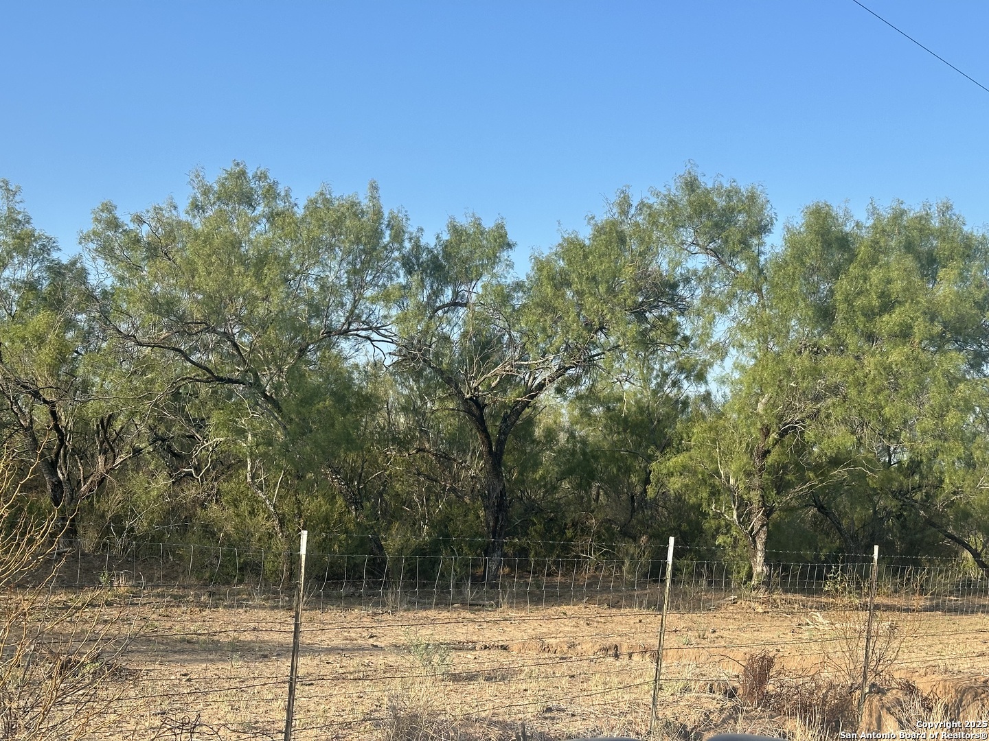 992 Jordan Encinal TX 78019