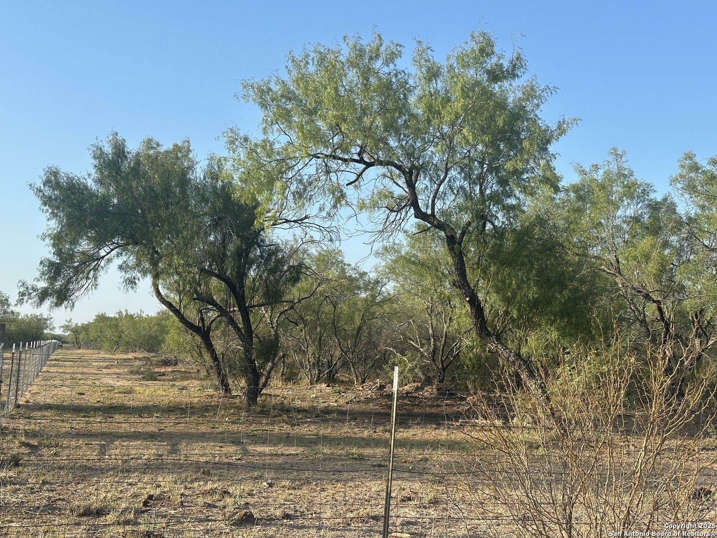 992 Jordan Encinal TX 78019