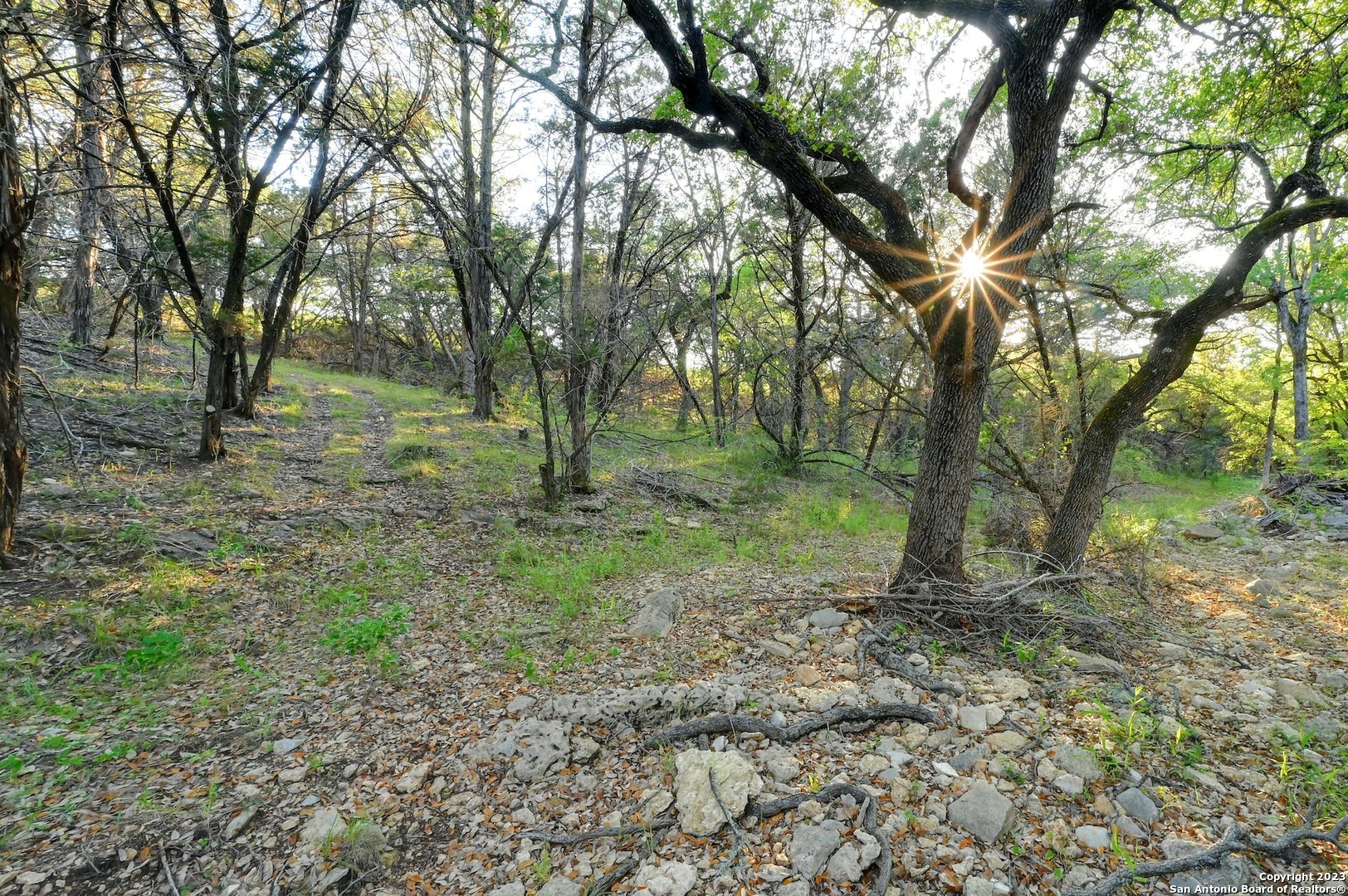 10580 Fm 306 New Braunfels TX 78132