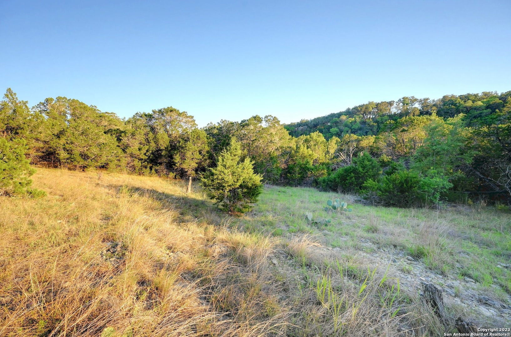 10580 Fm 306 New Braunfels TX 78132