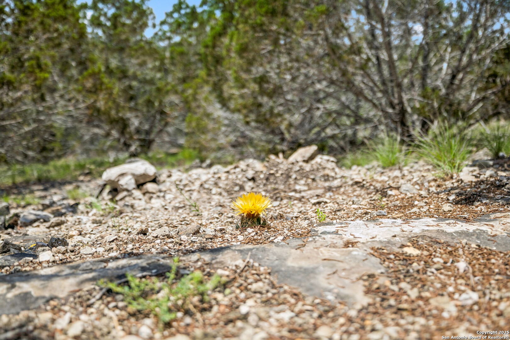 000 Pitre Springs Road Kerrville TX 78028